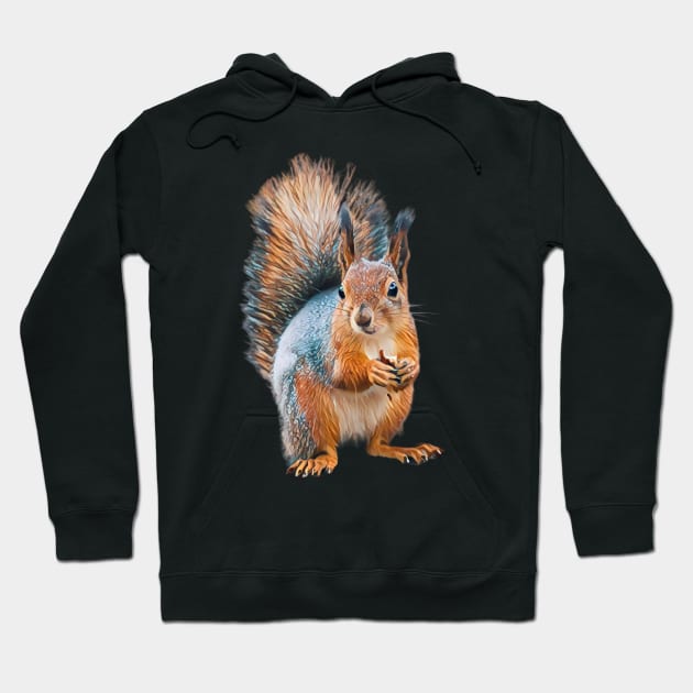 Squirrel - Woodland Themed Kids Room, Funny Gifts For Forester, Cute Animals Hoodie by Shirtsmania